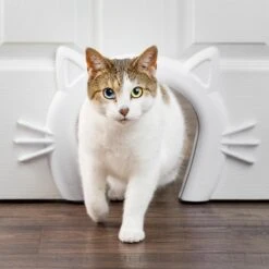 PetSafe Staywell® Cat Corridor - Kattendoorgang Voor Binnenshuis - Overschilderbaar Design - Voor Katten Tot 9 Kg - Staywell Cat Corridor -Huisdierbenodigdheden Korting 1200x1200 2978