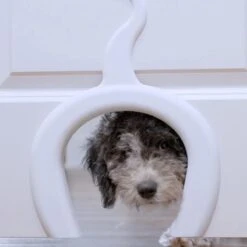 PetSafe Staywell® Cat Corridor - Kattendoorgang Voor Binnenshuis - Overschilderbaar Design - Voor Katten Tot 9 Kg - Staywell Cat Corridor -Huisdierbenodigdheden Korting 1200x1200 2979