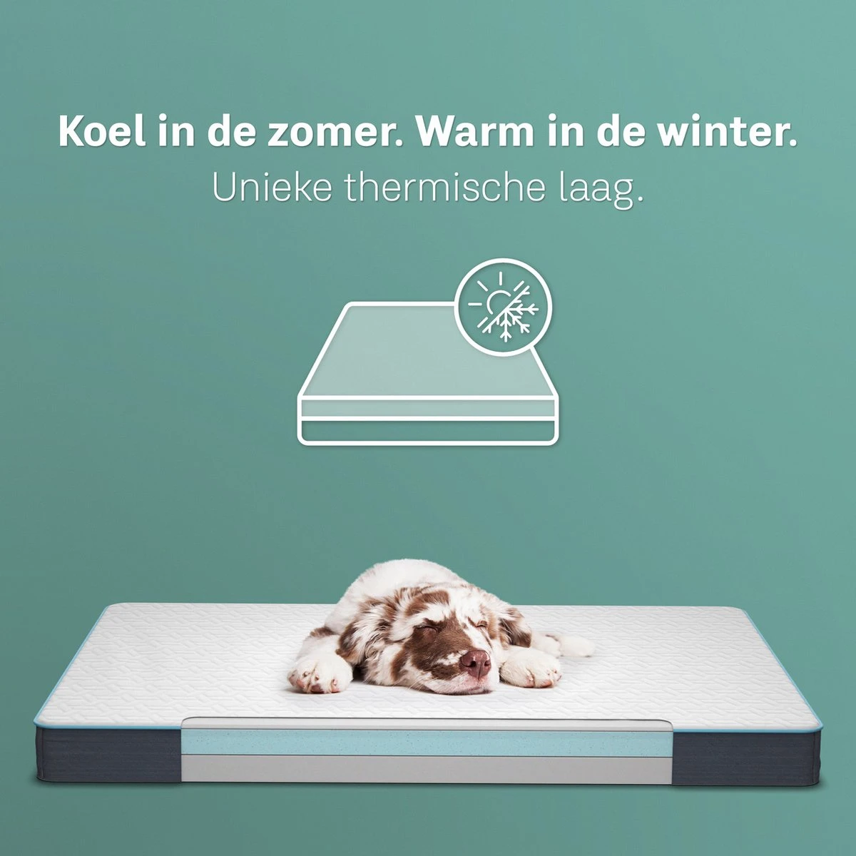 CozySense® - Orthopedisch Hondenkussen - Hondenkussen 90 X 55 Cm - Ook Geschikt Als Benchkussen & Hondenbed - Hondenkussen Bank - Traagschuim - Waterdicht - Wasbare Hoes - Maat L 6 CozySense® - Orthopedisch Hondenkussen - Hondenkussen 90 X 55 Cm - Ook Geschikt Als Benchkussen & Hondenbed - Hondenkussen Bank - Traagschuim - Waterdicht - Wasbare Hoes - Maat L - Image 4