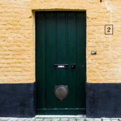 Cellavi XL Kattenluik Zwart Met Tunnel - Hondenluik - 4 Vergrendelingsstanden - 30,5 X 27,5 X 7,5 Cm -Huisdierbenodigdheden Korting 1200x1200 3022