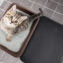 Merkloos Tastelio XXL Kattenbakmat 75x55cm - Groot Kattenbak Mat Met Innovatieve Honingraatstructuur - Dubbele Waterdichte Laag - Katten Bak Mat Met Eenvoudige Reiniging Grit Opvanger -Huisdierbenodigdheden Korting 1200x1200 3087