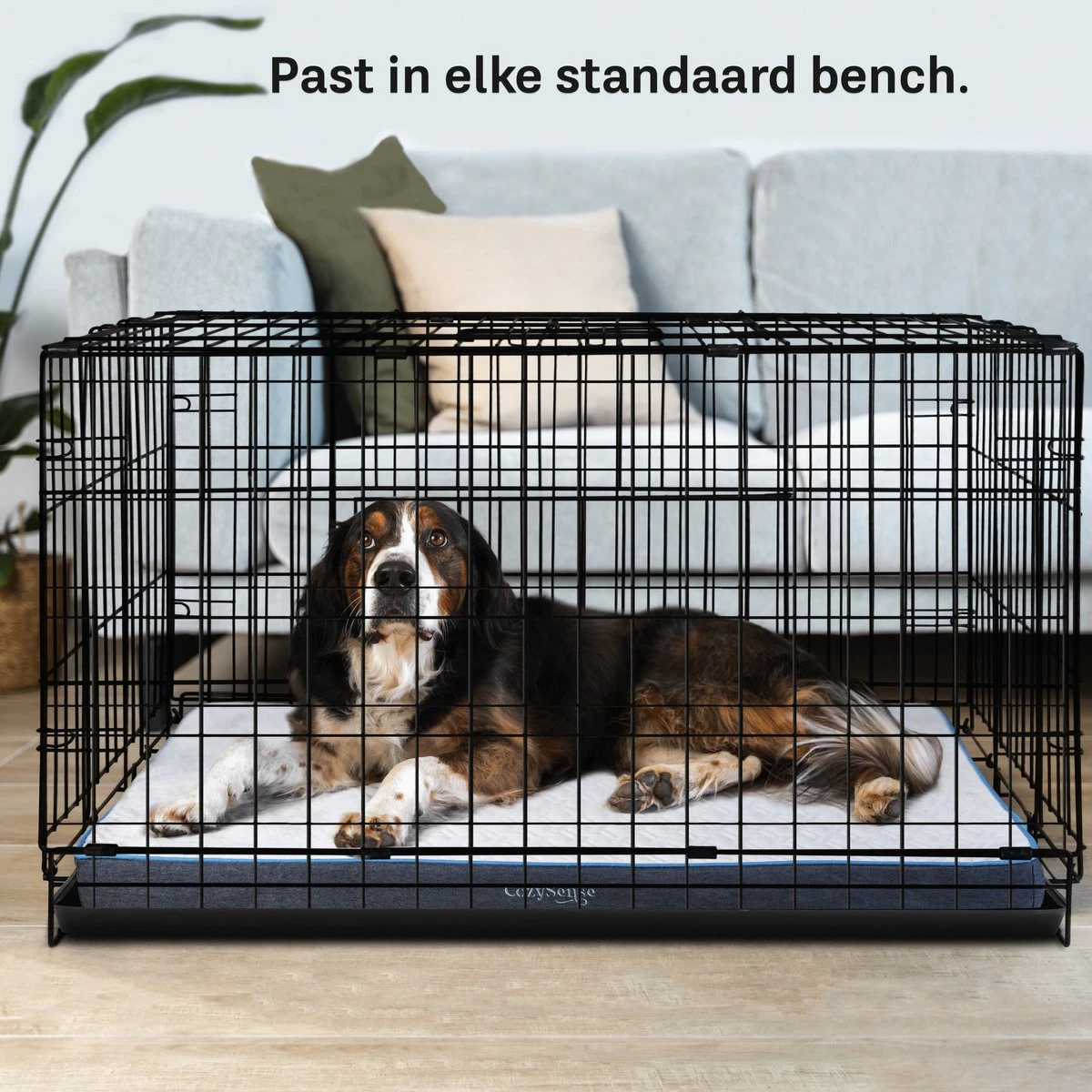 CozySense® - Orthopedisch Hondenkussen - Hondenkussen 90 X 55 Cm - Ook Geschikt Als Benchkussen & Hondenbed - Hondenkussen Bank - Traagschuim - Waterdicht - Wasbare Hoes - Maat L 7 CozySense® - Orthopedisch Hondenkussen - Hondenkussen 90 X 55 Cm - Ook Geschikt Als Benchkussen & Hondenbed - Hondenkussen Bank - Traagschuim - Waterdicht - Wasbare Hoes - Maat L - Image 5