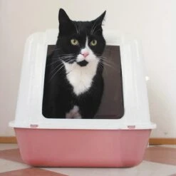 HG Tegen Kattenbakgeur - 500ml - Ongevaarlijk Voor Dier En Mens - Geurloos -Huisdierbenodigdheden Korting 1200x1200 3143