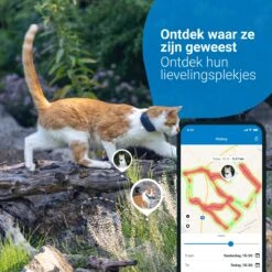 Tractive GPS CAT 4 - Kat GPS Tracker & Activiteitenmonitor - Past Op Meeste Halsbanden - Donkerblauw -Huisdierbenodigdheden Korting 1200x1200 3166