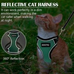 Kattentuigje Met Leiband Riem Kattenharnas Groen Maat L Kat & Kitten - Dieren Kattenriem - Cat Leash - Halsomvang 24 Tot 33cm - Borstomvang 36 Tot 41cm - Zootic® 15 Kattentuigje Met Leiband Riem Kattenharnas Groen Maat L Kat & Kitten - Dieren Kattenriem - Cat Leash - Halsomvang 24 Tot 33cm - Borstomvang 36 Tot 41cm - Zootic® -Huisdierbenodigdheden Korting 1200x1200 3179