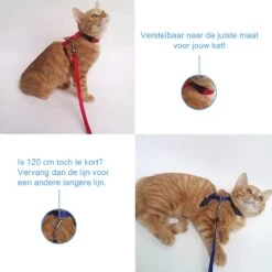 Kattentuigje Met Looplijn Kattenharnas Katten Riem Met Looplijn Kat Verstelbaar - Rood -Huisdierbenodigdheden Korting 1200x1200 3181
