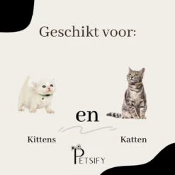 Petsify - Kattenhalsband Met Belletje - Veiligheidssluiting - Reflecterend - Halsband Kat - Halsband Kitten - Set Van 11 -Huisdierbenodigdheden Korting 1200x1200 3190