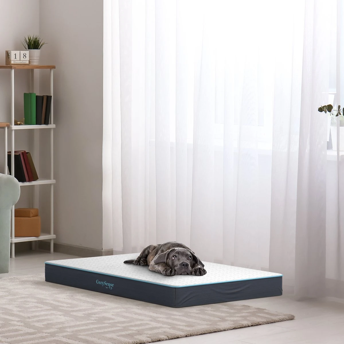 CozySense® - Orthopedisch Hondenkussen - Hondenkussen 90 X 55 Cm - Ook Geschikt Als Benchkussen & Hondenbed - Hondenkussen Bank - Traagschuim - Waterdicht - Wasbare Hoes - Maat L 8 CozySense® - Orthopedisch Hondenkussen - Hondenkussen 90 X 55 Cm - Ook Geschikt Als Benchkussen & Hondenbed - Hondenkussen Bank - Traagschuim - Waterdicht - Wasbare Hoes - Maat L - Image 6