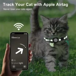 BJØRK™ Kattenhalsband Airtag - Reflecterend - Oranje - Verstelbaar - 20 Tot 30 Cm - Tracker- GPS - Geschikt Voor Apple AirTag - Kattenriem - Katten Accessoire - Halsband Kat Airtag 13 BJØRK™ Kattenhalsband Airtag - Reflecterend - Oranje - Verstelbaar - 20 Tot 30 Cm - Tracker- GPS - Geschikt Voor Apple AirTag - Kattenriem - Katten Accessoire - Halsband Kat Airtag -Huisdierbenodigdheden Korting 1200x1200 3201