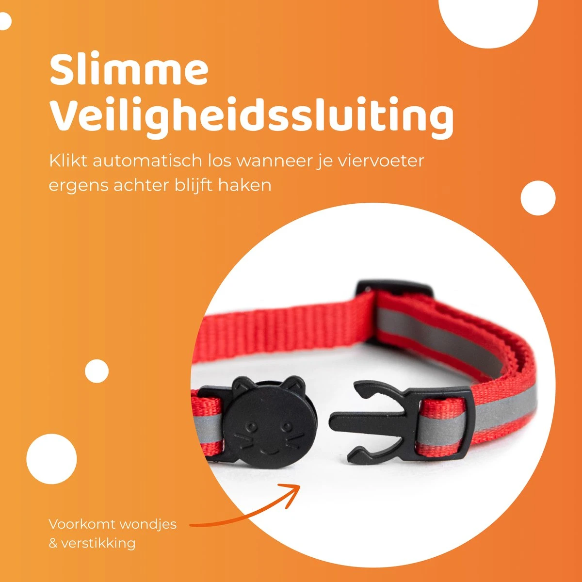 ACE Pets Reflecterende Kattenhalsband Met Veiligheidssluiting – Halsband Kat & Kitten - Met Adreskoker - Kittenhalsband & Kattenbandje Met Belletje - Zwart 4 ACE Pets Reflecterende Kattenhalsband Met Veiligheidssluiting – Halsband Kat & Kitten - Met Adreskoker - Kittenhalsband & Kattenbandje Met Belletje - Zwart - Image 2