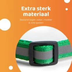 ACE Pets Reflecterende Kattenhalsband Met Veiligheidssluiting – Halsband Kat & Kitten - Met Adreskoker - Kittenhalsband & Kattenbandje Met Belletje - Zwart 19 ACE Pets Reflecterende Kattenhalsband Met Veiligheidssluiting – Halsband Kat & Kitten - Met Adreskoker - Kittenhalsband & Kattenbandje Met Belletje - Zwart -Huisdierbenodigdheden Korting 1200x1200 3206