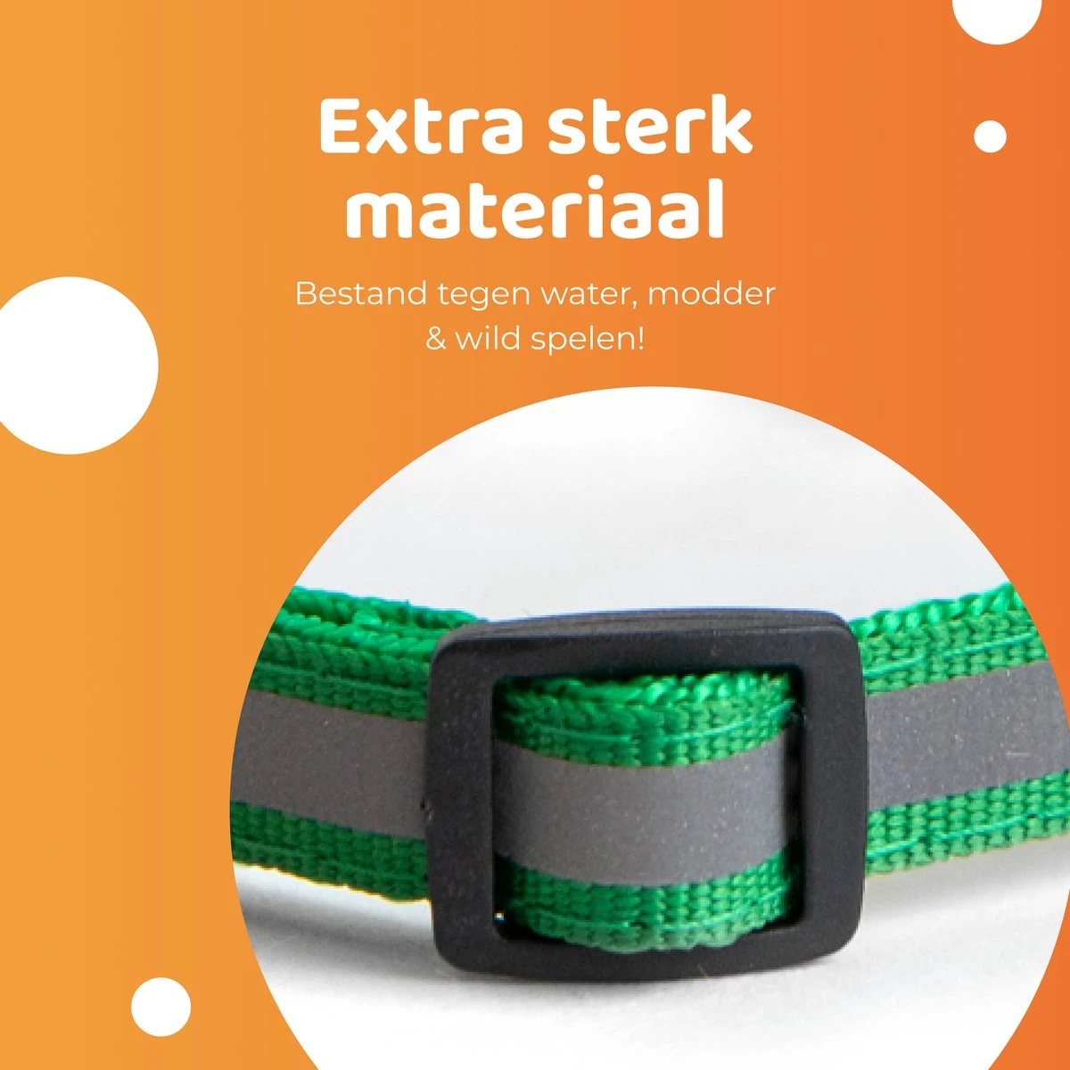 ACE Pets Reflecterende Kattenhalsband Met Veiligheidssluiting – Halsband Kat & Kitten - Met Adreskoker - Kittenhalsband & Kattenbandje Met Belletje - Zwart 9 ACE Pets Reflecterende Kattenhalsband Met Veiligheidssluiting – Halsband Kat & Kitten - Met Adreskoker - Kittenhalsband & Kattenbandje Met Belletje - Zwart - Image 7