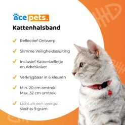 ACE Pets Reflecterende Kattenhalsband Met Veiligheidssluiting – Halsband Kat & Kitten - Met Adreskoker - Kittenhalsband & Kattenbandje Met Belletje - Zwart 20 ACE Pets Reflecterende Kattenhalsband Met Veiligheidssluiting – Halsband Kat & Kitten - Met Adreskoker - Kittenhalsband & Kattenbandje Met Belletje - Zwart -Huisdierbenodigdheden Korting 1200x1200 3207