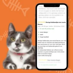 ACE Pets Reflecterende Kattenhalsband Met Veiligheidssluiting – Halsband Kat & Kitten - Met Adreskoker - Kittenhalsband & Kattenbandje Met Belletje - Zwart 21 ACE Pets Reflecterende Kattenhalsband Met Veiligheidssluiting – Halsband Kat & Kitten - Met Adreskoker - Kittenhalsband & Kattenbandje Met Belletje - Zwart -Huisdierbenodigdheden Korting 1200x1200 3208