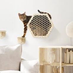 Navaris Katten Klimwand 4-delige Set - Katten Klimmuur Voor Binnenshuis - Kattenmeubel Met Wandmontage - Met Drie Plankjes Voor Meer Klimplezier 13 Navaris Katten Klimwand 4-delige Set - Katten Klimmuur Voor Binnenshuis - Kattenmeubel Met Wandmontage - Met Drie Plankjes Voor Meer Klimplezier -Huisdierbenodigdheden Korting 1200x1200 3244