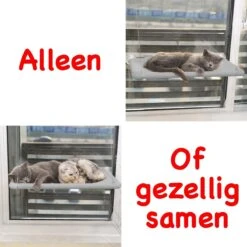 Merkloos Kattenhangmat - Kattenbed - Hangmat Kat Raam Ook Voor Radiator En Deur - Kattenmand Raam En Radiator - Katten Hangmat - Radiatorhangmat Kat Kattenstoel - Tijdelijk Met Extra Hangmat Hoes -Huisdierbenodigdheden Korting 1200x1200 3251