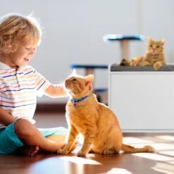 Relaxdays Kattenbak Ombouw - Met Zitkussen - Kattenhuis Wit - Kattenmeubel - Kattenkast -Huisdierbenodigdheden Korting 1200x1200 3283