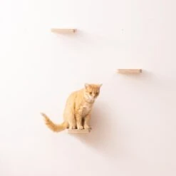Navaris Katten Klimmuur 3 Tredes - 18 X 18 X 1,5 Cm Per Plankje - Katten Klimwand Van Hout - Inclusief Bevestigingsmateriaal -Huisdierbenodigdheden Korting 1200x1200 3294