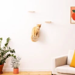 Navaris Katten Klimmuur 3 Tredes - 18 X 18 X 1,5 Cm Per Plankje - Katten Klimwand Van Hout - Inclusief Bevestigingsmateriaal -Huisdierbenodigdheden Korting 1200x1200 3295