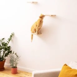 Navaris Katten Klimmuur 3 Tredes - 18 X 18 X 1,5 Cm Per Plankje - Katten Klimwand Van Hout - Inclusief Bevestigingsmateriaal -Huisdierbenodigdheden Korting 1200x1200 3296