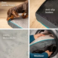 CozySense® - Orthopedisch Hondenkussen - Hondenkussen 90 X 55 Cm - Ook Geschikt Als Benchkussen & Hondenbed - Hondenkussen Bank - Traagschuim - Waterdicht - Wasbare Hoes - Maat L 16 CozySense® - Orthopedisch Hondenkussen - Hondenkussen 90 X 55 Cm - Ook Geschikt Als Benchkussen & Hondenbed - Hondenkussen Bank - Traagschuim - Waterdicht - Wasbare Hoes - Maat L -Huisdierbenodigdheden Korting 1200x1200 33