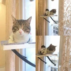 Hobipets - Kattenmand Raam - 5 Zuignappen - Hangmat Kat Raam -Huisdierbenodigdheden Korting 1200x1200 3300