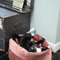 Designed By Lotte Fluco Kattenmand - Fluweel - Groen - 45x45x35 Cm -Huisdierbenodigdheden Korting 1200x1200 3313