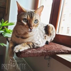 PRETTY KITTY Cat Window Bed 32x41cm: Knuffelig Kattenbed Voor De Vensterbank, Premium Kattenbed Fluffy Voor Het Raam, Vensterbank Kat - Wasbaar, Vensterbank Kat -Huisdierbenodigdheden Korting 1200x1200 3316