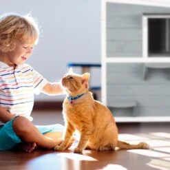 Relaxdays Kattenhuis Buiten - Groot Kattenhok Binnen - Hoog Kattenmeubel Grijs Hout - Tuin -Huisdierbenodigdheden Korting 1200x1200 3332