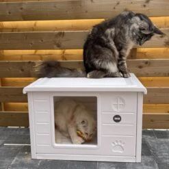 RHRQuality Kattenhuis Voor Binnen En Buiten Kattenhok Villa De Luxe Wit 60cm -Huisdierbenodigdheden Korting 1200x1200 3340