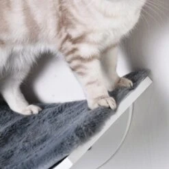 Merkloos Paws And Claws - Cat Shelf – Hangmat Kat – Kattenplank - Kattenbed - Wasbaar – Wandmontage – MDF - Wit 16 Merkloos Paws And Claws - Cat Shelf – Hangmat Kat – Kattenplank - Kattenbed - Wasbaar – Wandmontage – MDF - Wit -Huisdierbenodigdheden Korting 1200x1200 3371