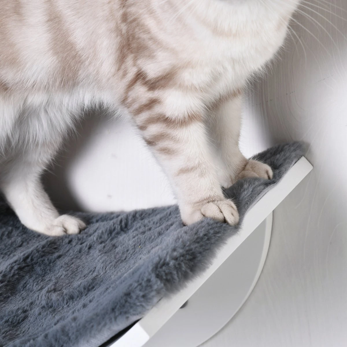 Merkloos Paws And Claws - Cat Shelf – Hangmat Kat – Kattenplank - Kattenbed - Wasbaar – Wandmontage – MDF - Wit 9 Merkloos Paws And Claws - Cat Shelf – Hangmat Kat – Kattenplank - Kattenbed - Wasbaar – Wandmontage – MDF - Wit - Image 7