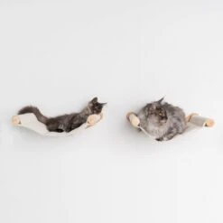 RHRQuality Wandmeubel Wandmontage Klimmuur Kat 53 X 43cm Luxe Hangmat XXL Creme Klim Wand Muur Krabpaal Katten Muurbevestiging -Huisdierbenodigdheden Korting 1200x1200 3379