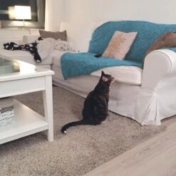 HG Tegen Urine Geur - 500 Ml - Effectief En Snel Resultaat - Neemt De Geur Definitief Weg 8 HG Tegen Urine Geur - 500 Ml - Effectief En Snel Resultaat - Neemt De Geur Definitief Weg -Huisdierbenodigdheden Korting 1200x1200 3404