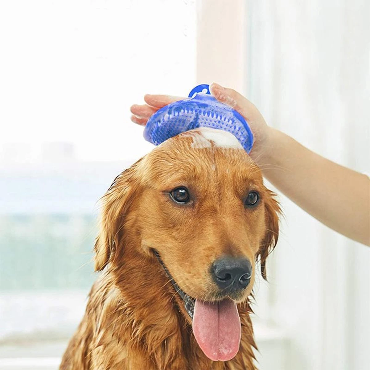 Kattenborstel - Hondenborstel - Vacht Verzorgingsborstel Hond En Kat - Siliconen Haarborstel - Flexibele Massage Borstel - Haar– En Klittenkam - Blauw 4 Kattenborstel - Hondenborstel - Vacht Verzorgingsborstel Hond En Kat - Siliconen Haarborstel - Flexibele Massage Borstel - Haar– En Klittenkam - Blauw - Image 2