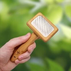 Pfotenolymp® Zachte Borstel Voor Katten - Kattenborstel / Kattenkam Van Bamboe - Bontborstel / Vachtborstel / Kattenhaarborstel - Bontkam Voor Vachtverzorging 13 Pfotenolymp® Zachte Borstel Voor Katten - Kattenborstel / Kattenkam Van Bamboe - Bontborstel / Vachtborstel / Kattenhaarborstel - Bontkam Voor Vachtverzorging -Huisdierbenodigdheden Korting 1200x1200 3425