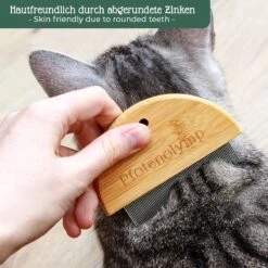 Pfotenolymp® Zachte Borstel & Vlooienkam Voor Katten Set - Kattenborstel I Kattenkam - Luizenkam I Netenkam Voor Katten - Tegen Luizen & Vlooien - Kattenhaarborstel -Huisdierbenodigdheden Korting 1200x1200 3436