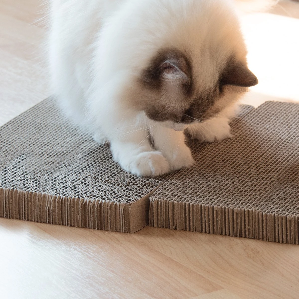 Navaris Katten Krabmat Set X3 - Smalle Krabplanken Om Te Krabben Van Karton - 43 X 24 X 4 Cm - Voor Kleine En Grote Katten 8 Navaris Katten Krabmat Set X3 - Smalle Krabplanken Om Te Krabben Van Karton - 43 X 24 X 4 Cm - Voor Kleine En Grote Katten - Image 6