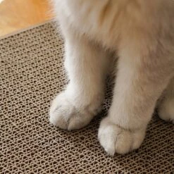 Verticale Muur Kat Krabplank Mini Size Slijtvaste Kat Krassen Schraper Voor Katten Training Slijpen Klauw Speelgoed -Huisdierbenodigdheden Korting 1200x1200 3447