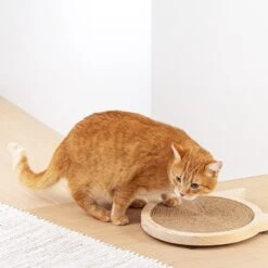 Navaris Houten Krabplank Voor Katten - Krabmat Van Hout En Sisal Voor Aan De Muur - In De Vorm Van Een Kattenkop - Te Bevestigen Met Zuignappen -Huisdierbenodigdheden Korting 1200x1200 3449