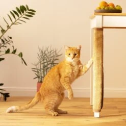 Navaris Sisal Katten Krabmat - Bescherming Van Meubels Tegen Krabben - Krabbescherming Voor Tafels En Stoelen- Gemakkelijk Aan Te Brengen -Huisdierbenodigdheden Korting 1200x1200 3456