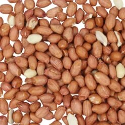 Top Diervoeding Gepelde Pinda's Voor Vogels En Eekhoorns - Buitenvogelvoer - 10 Kg -Huisdierbenodigdheden Korting 1200x1200 3480