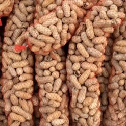 Topdiervoeding Ongepelde Pindaslinger - Voederslinger Voor Tuinvogels - 10 X 400 Gram