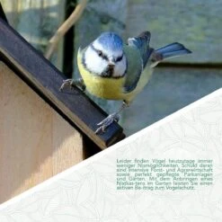 WILDLIFE FRIEND I Nestkast Met Metalen Dak Volgens NABU Van Massief Hout Voor Koolmezen & Co. - Weerbestendig, Onbehandeld, Mezenkastje, Vogelhuisje Voor Mezen - Nesthulp Met Invlieggat Van 32 Mm -Huisdierbenodigdheden Korting 1200x1200 3509