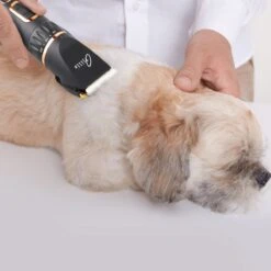 Tjilla Professionele Dieren/honden Tondeuse Set Extra Krachtig - Honden Trimmer - Lang Of Kortharige Huisdieren Katten & Honden - Draadloos - Weinig Geluid -Huisdierbenodigdheden Korting 1200x1200 351