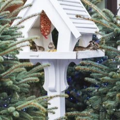 Topdiervoeding Pindanetjes - Gepelde Pinda’s Voor Vogels - Vogelvoer - 10 Stuks -Huisdierbenodigdheden Korting 1200x1200 3512