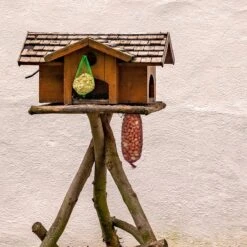 Topdiervoeding Pindanetjes - Gepelde Pinda’s Voor Vogels - Vogelvoer - 10 Stuks -Huisdierbenodigdheden Korting 1200x1200 3513