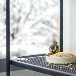 Topdiervoeding Witte Gepelde Pinda’s Voor Vogels En Eekhoorns - Tuinvogelvoer - 10 KG 9 Topdiervoeding Witte Gepelde Pinda’s Voor Vogels En Eekhoorns - Tuinvogelvoer - 10 KG -Huisdierbenodigdheden Korting 1200x1200 3515