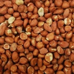 Merkloos Pindanoten - 4 Kg