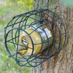 Merkloos Pindakaaspothouder Voor Kleine Vogels